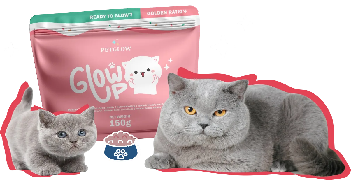 Brand Collab GH Vitamin